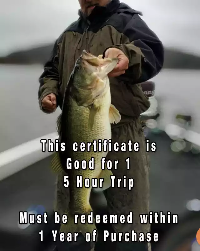 5 Hour Trip