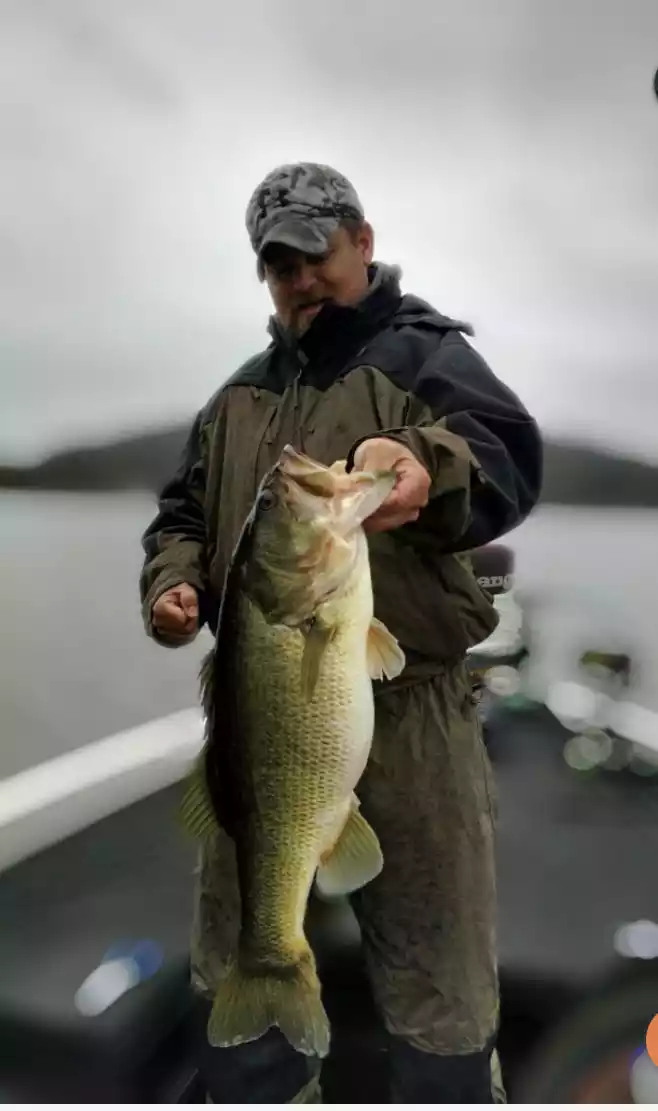 Sauger Fishing - Catching Sauger and Bass At Guntersville Dam 